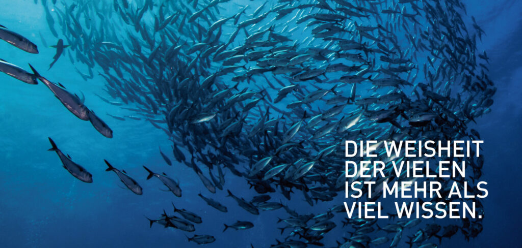 Foto: iStockphoto 'School of Fish', 03-06-12, © lemga
