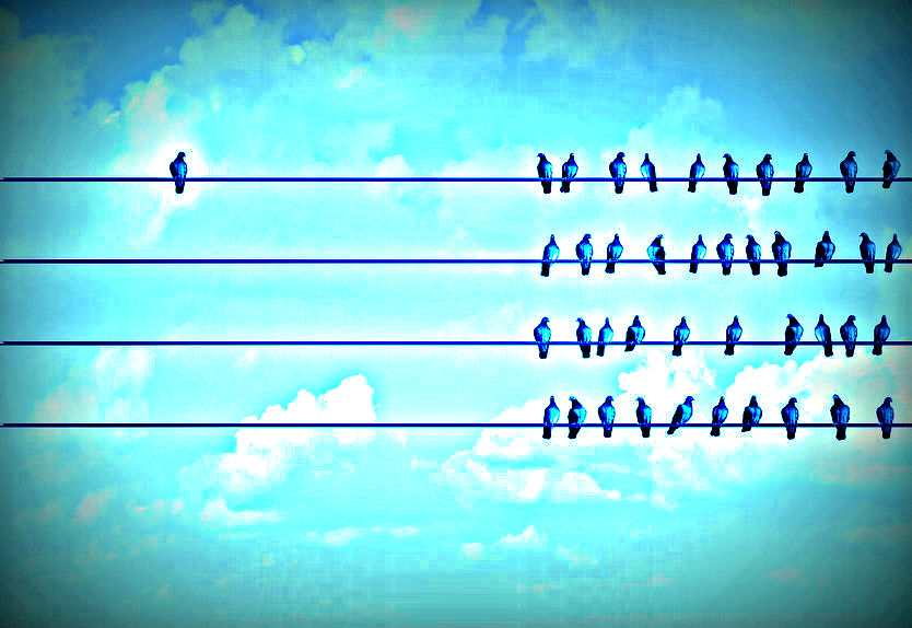 © lightwise / 123RF Lizenzfreie Bilder / 44032865 - Vögel auf der Leitung | individuality symbol and independent thinker concept and new leadership concept or individuality as a group of pigeon birds on a wire with one individual bird in the opposite direction as a business icon for new innovative thinking.